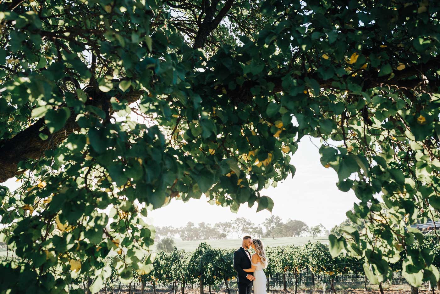 Stylish Mandoon Estate Wedding