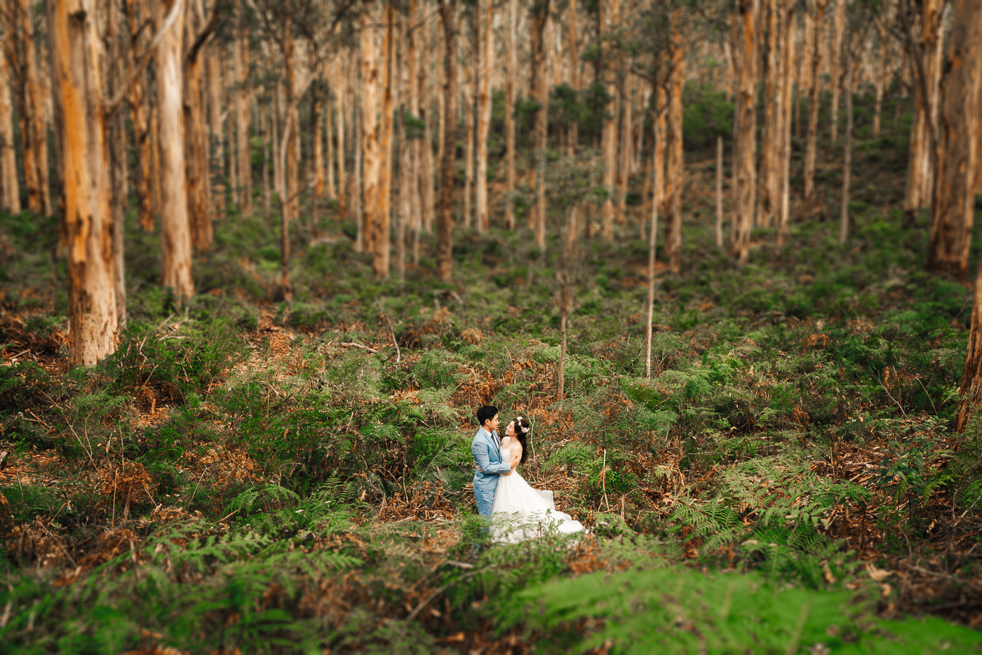 Pre Wedding Photographer Australia