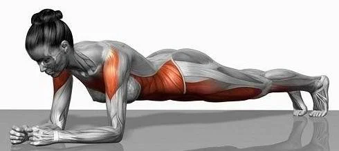 plankphoto.jpg