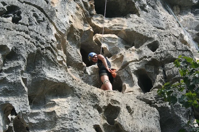 Just before discovering that my hand was merely inches away from a wasp's nest!