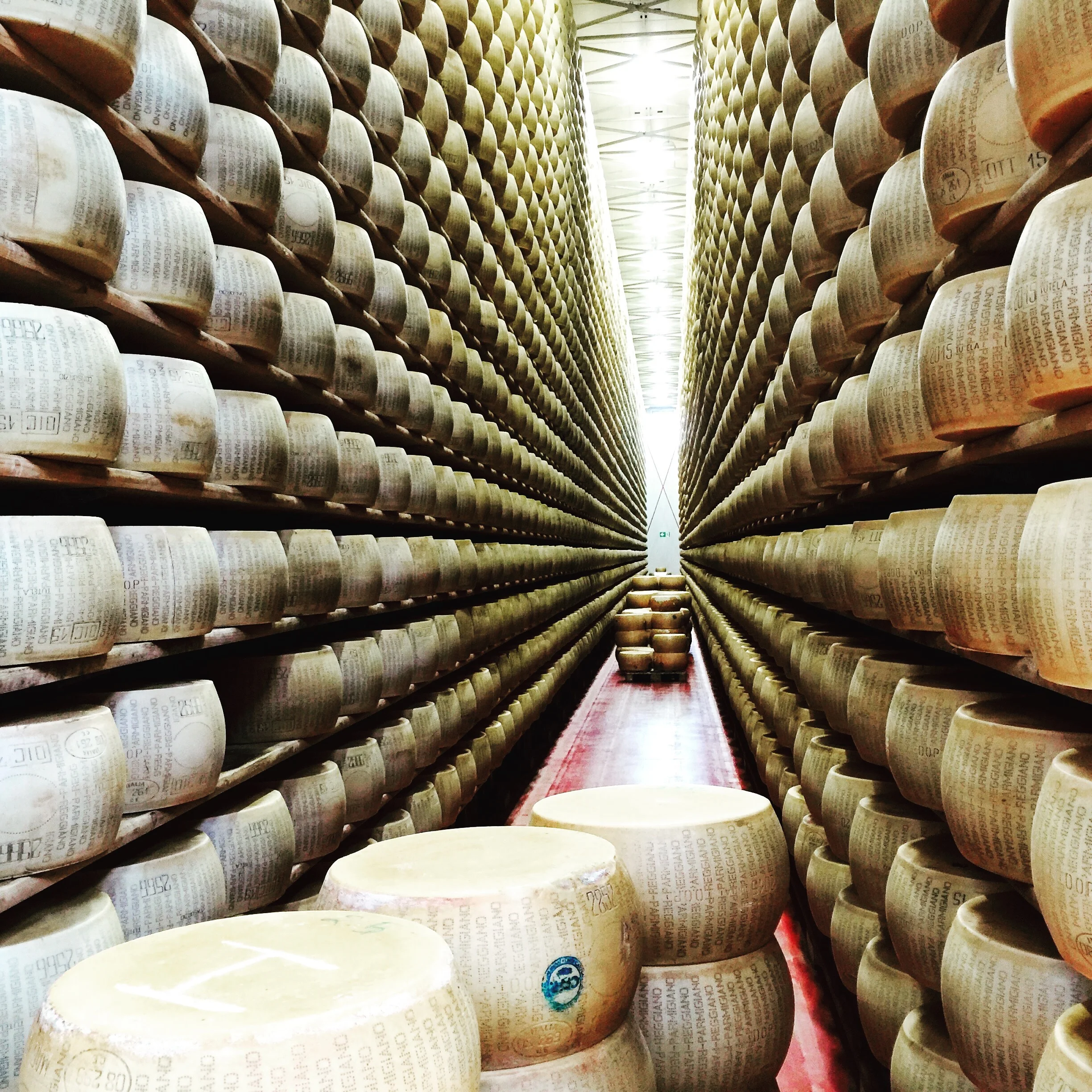 Thousands of wheels of cheese, oh my! A cheese tasting at t he 4 Madonne dell ' Emilia Dairy.