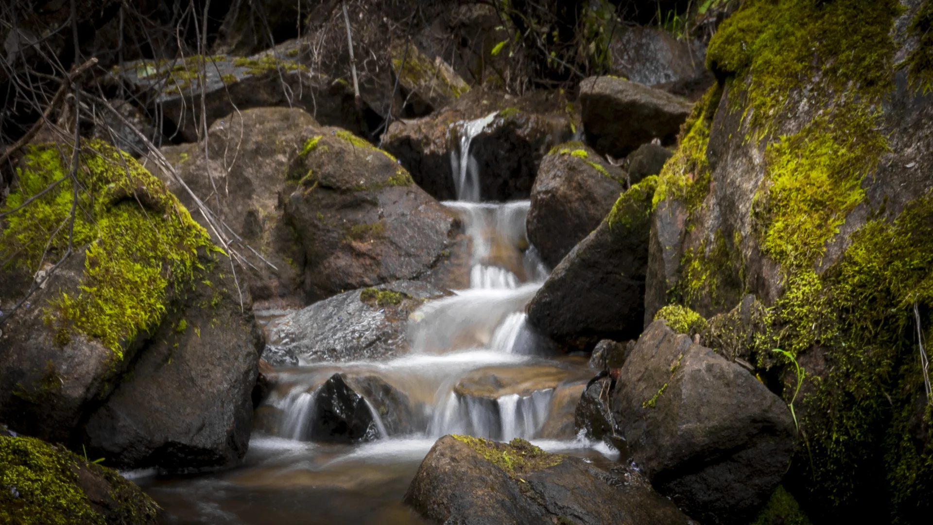 Hunt for the Nannup Falls