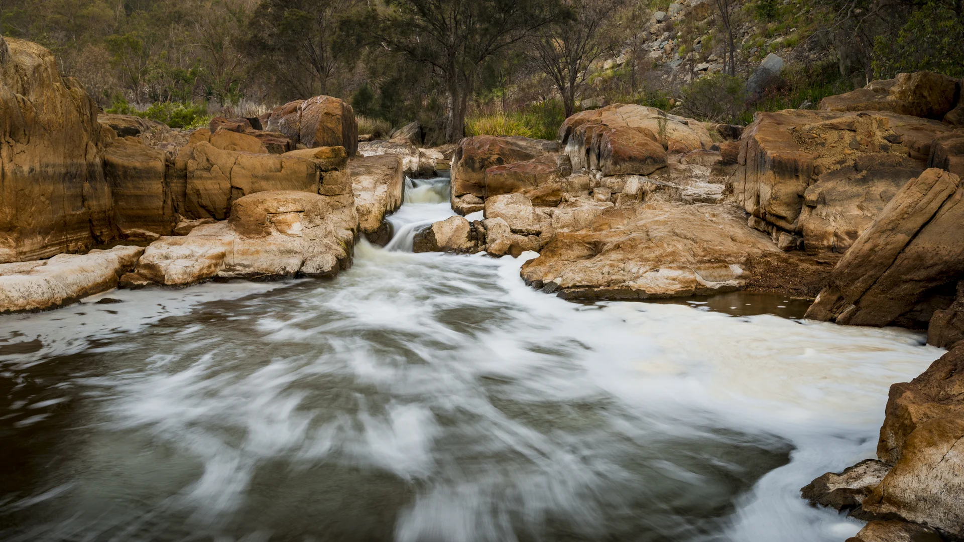 Exploring Bells Rapids