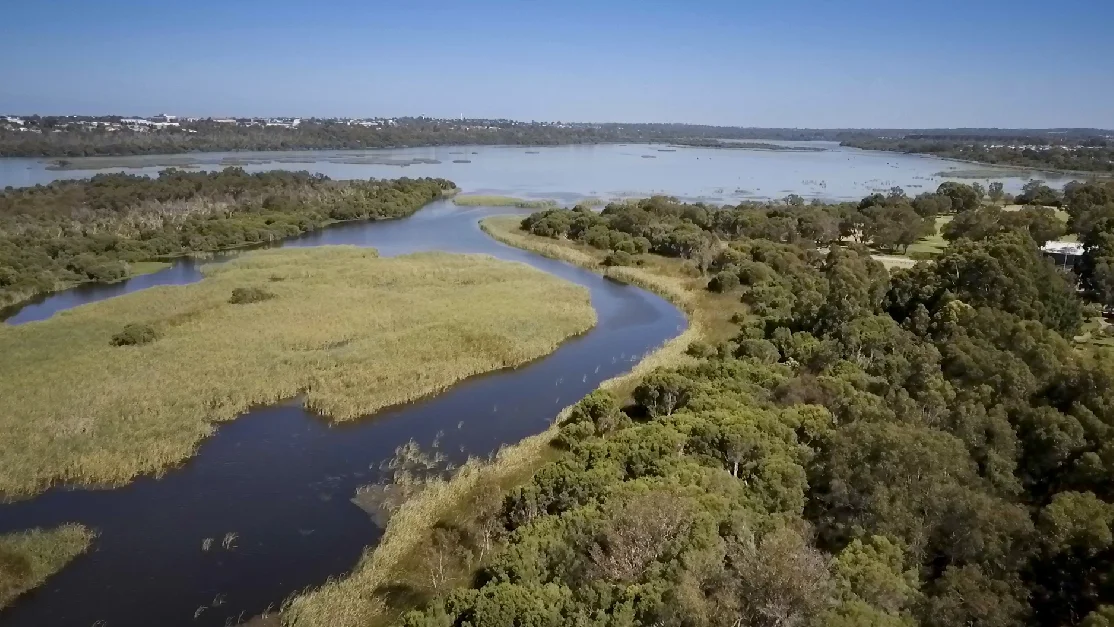 Reflection for 2016 and plans for 2017