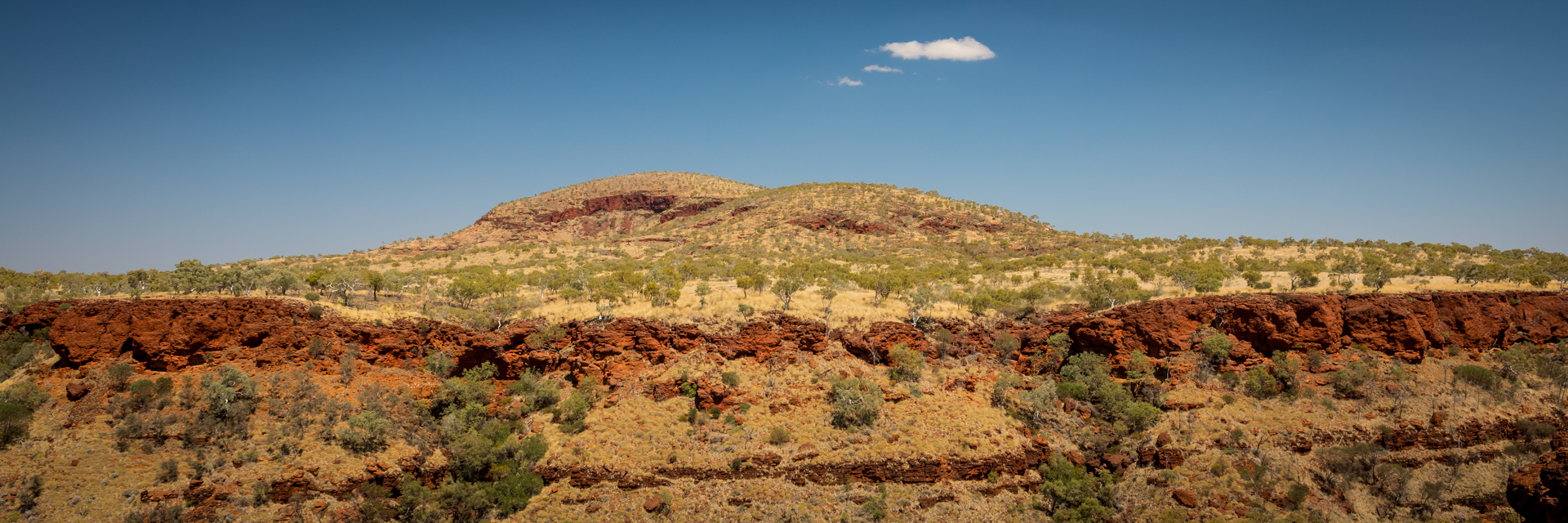_DSC1383.jpg
