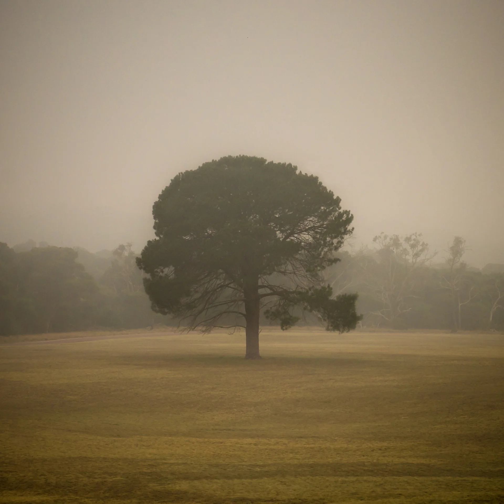 Finding Interesting Compositions in the Morning Fog
