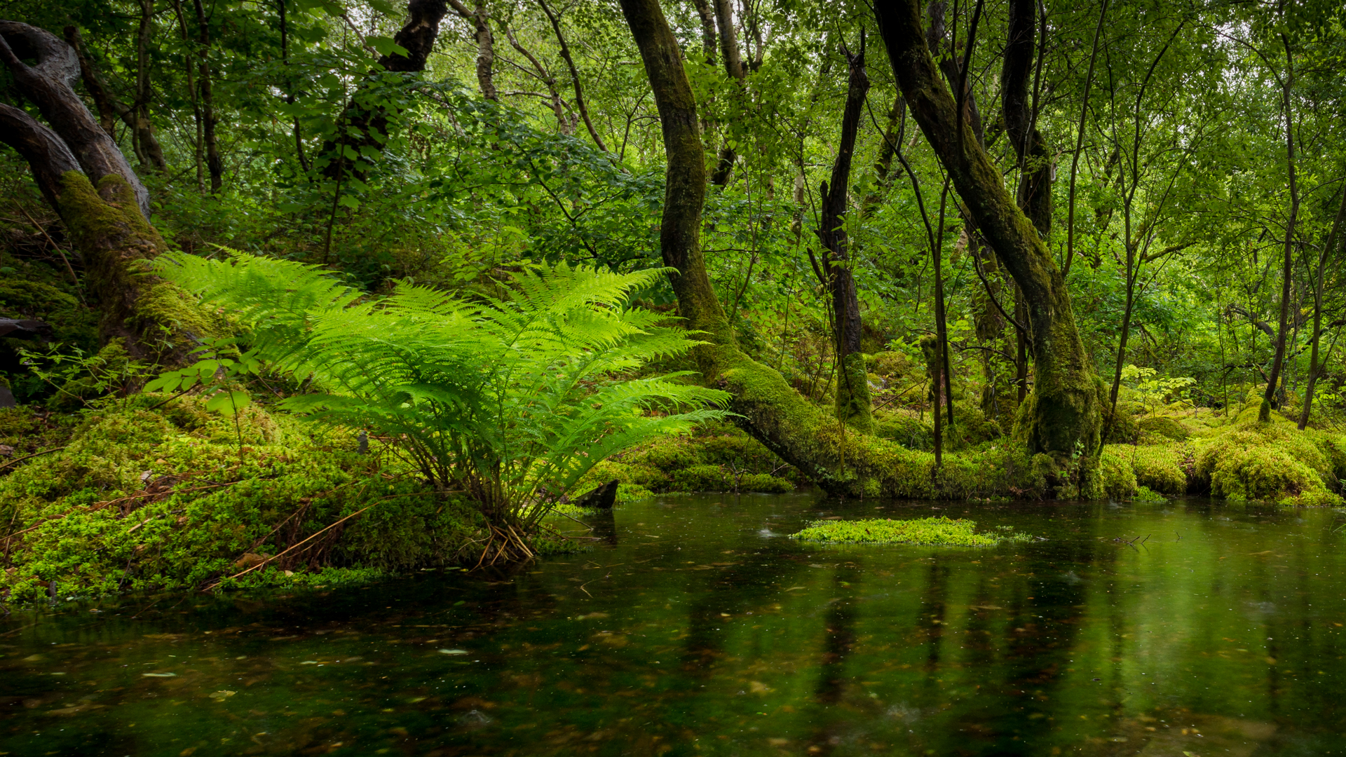 Taking Better Photos in Bad Weather - Snowdonia in Wales
