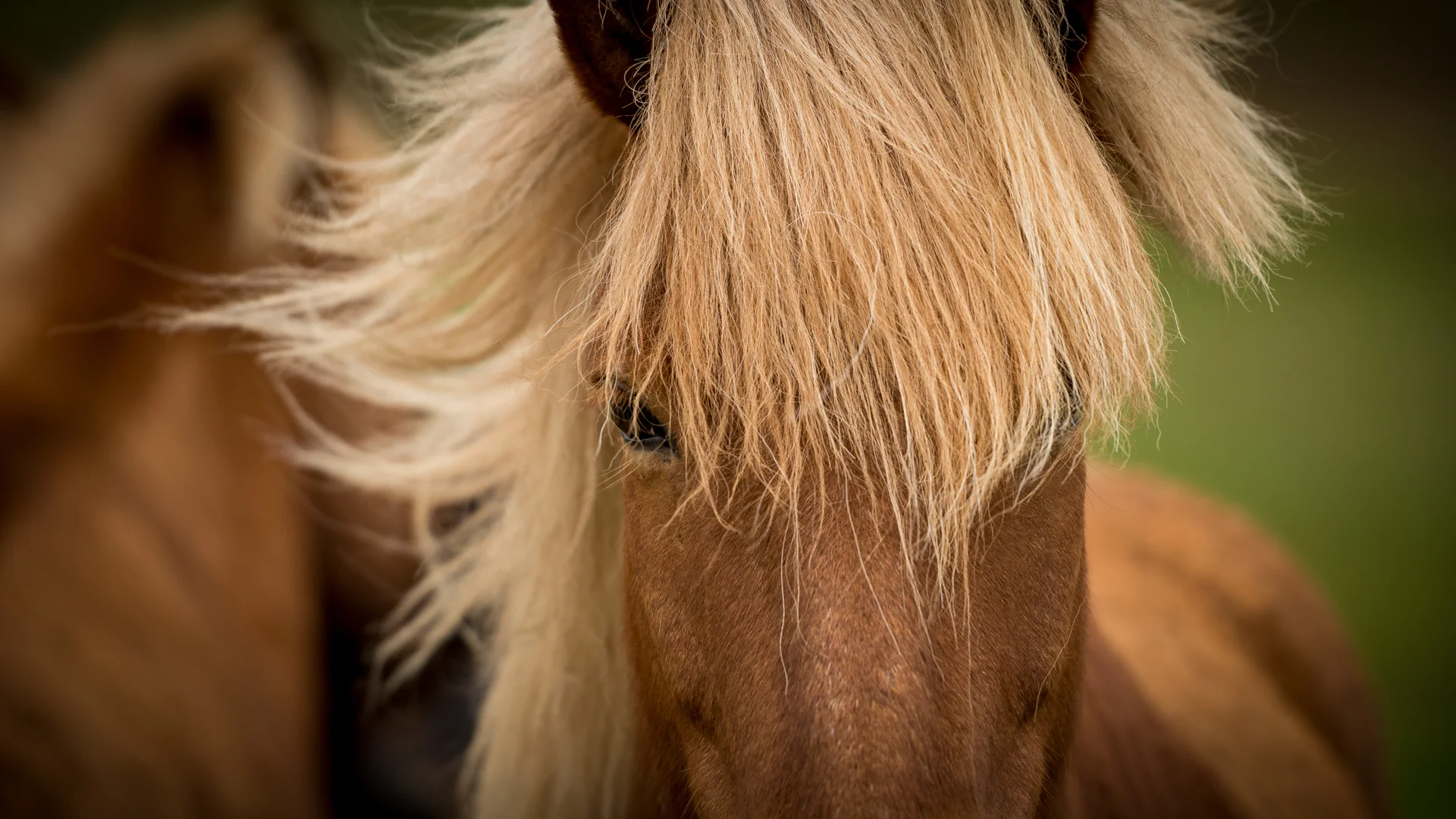 Lava Fields, using ND Graduated Filters to Control the Exposure