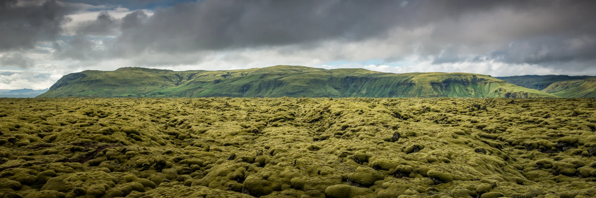Moss Mountain_2a.jpg