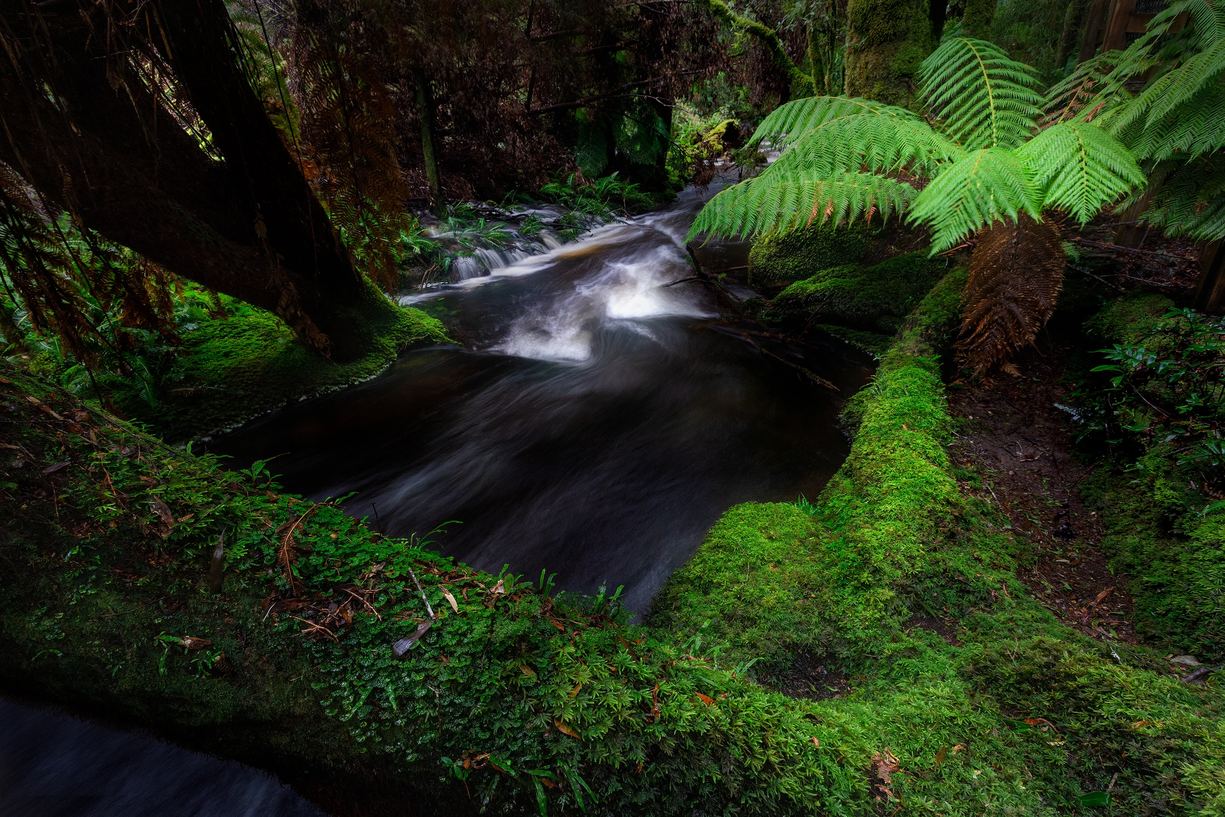IMG_7851-Edit.jpg