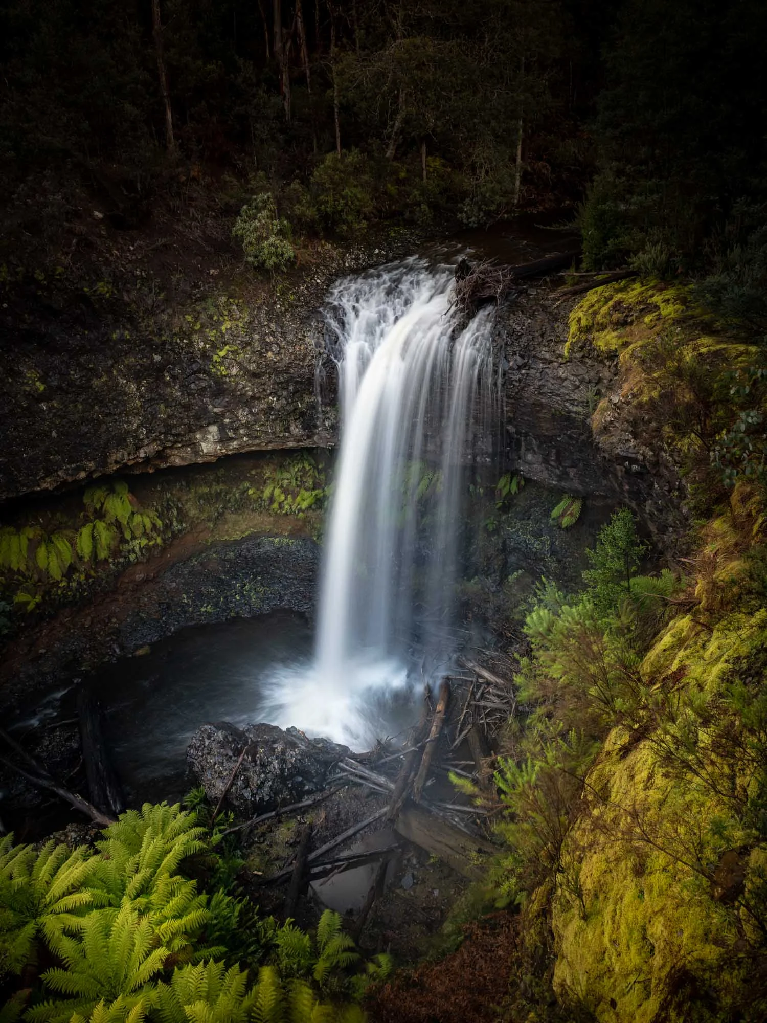 Tarraleah_Falls-1.jpg