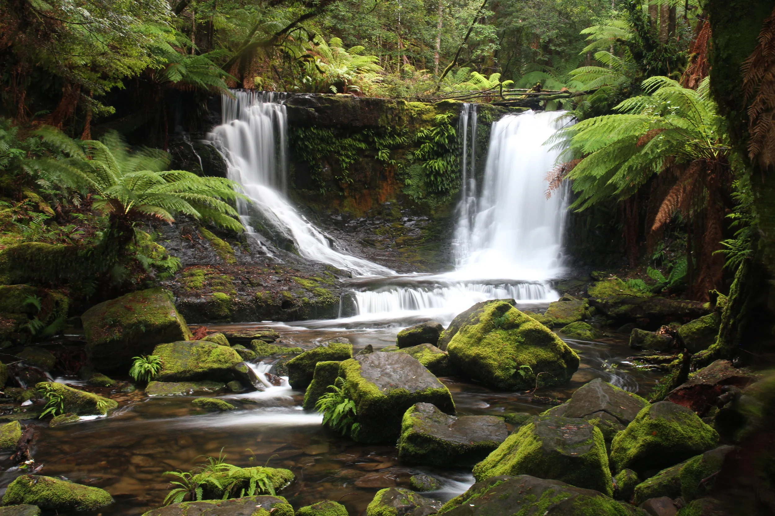 Horseshoe Falls, Mt Fields, Tasmania by Paul Heald