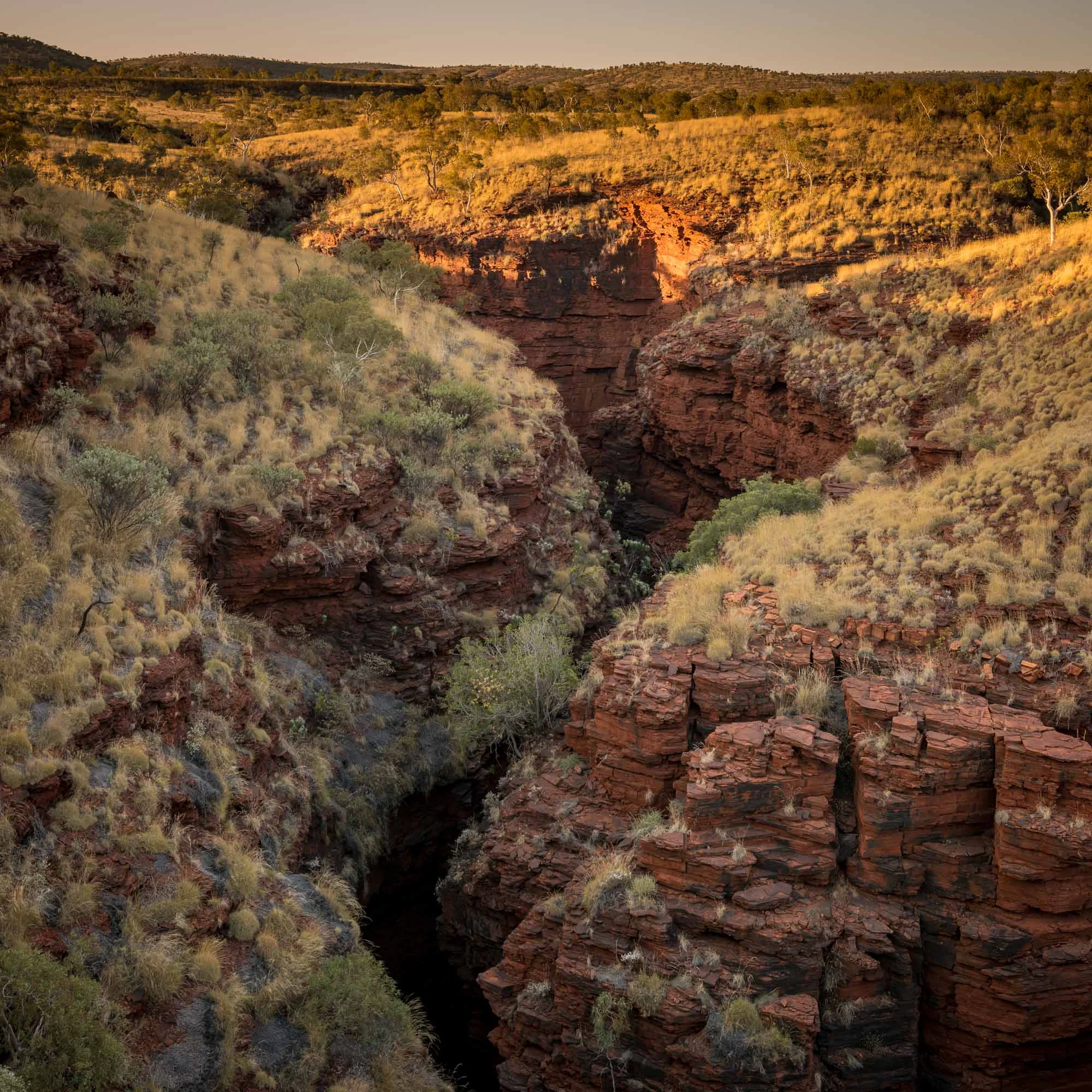 Karijini_2014_1.jpg