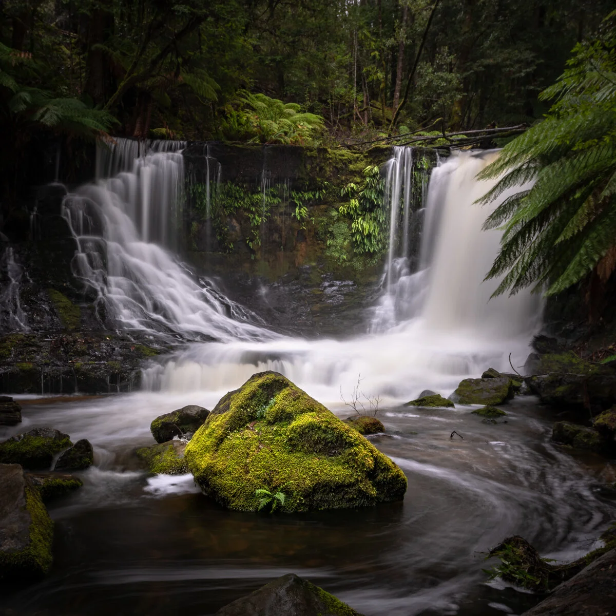 ARM_0328-HDR.jpg