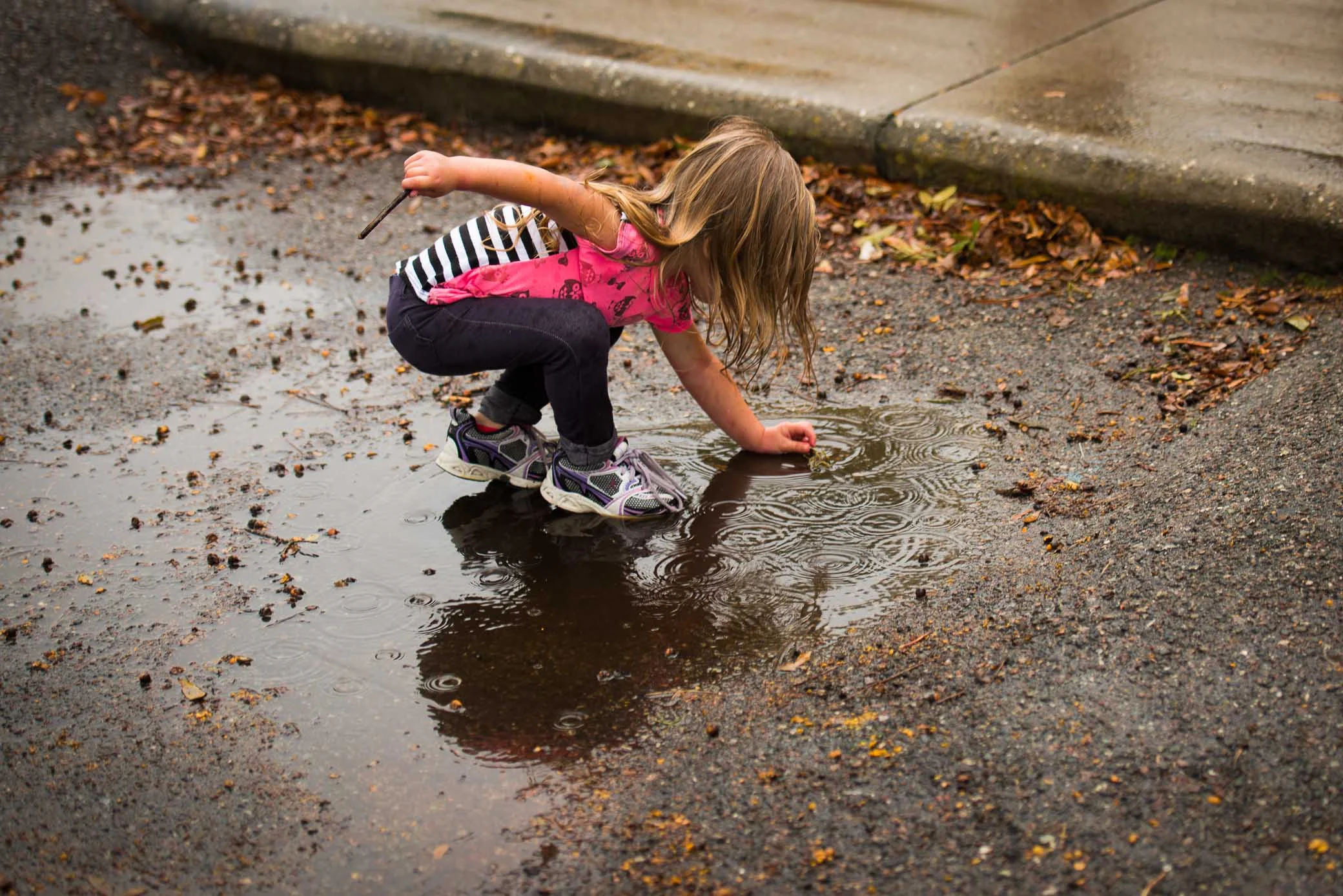 Copper Playing in the Rain-SMALL.jpg