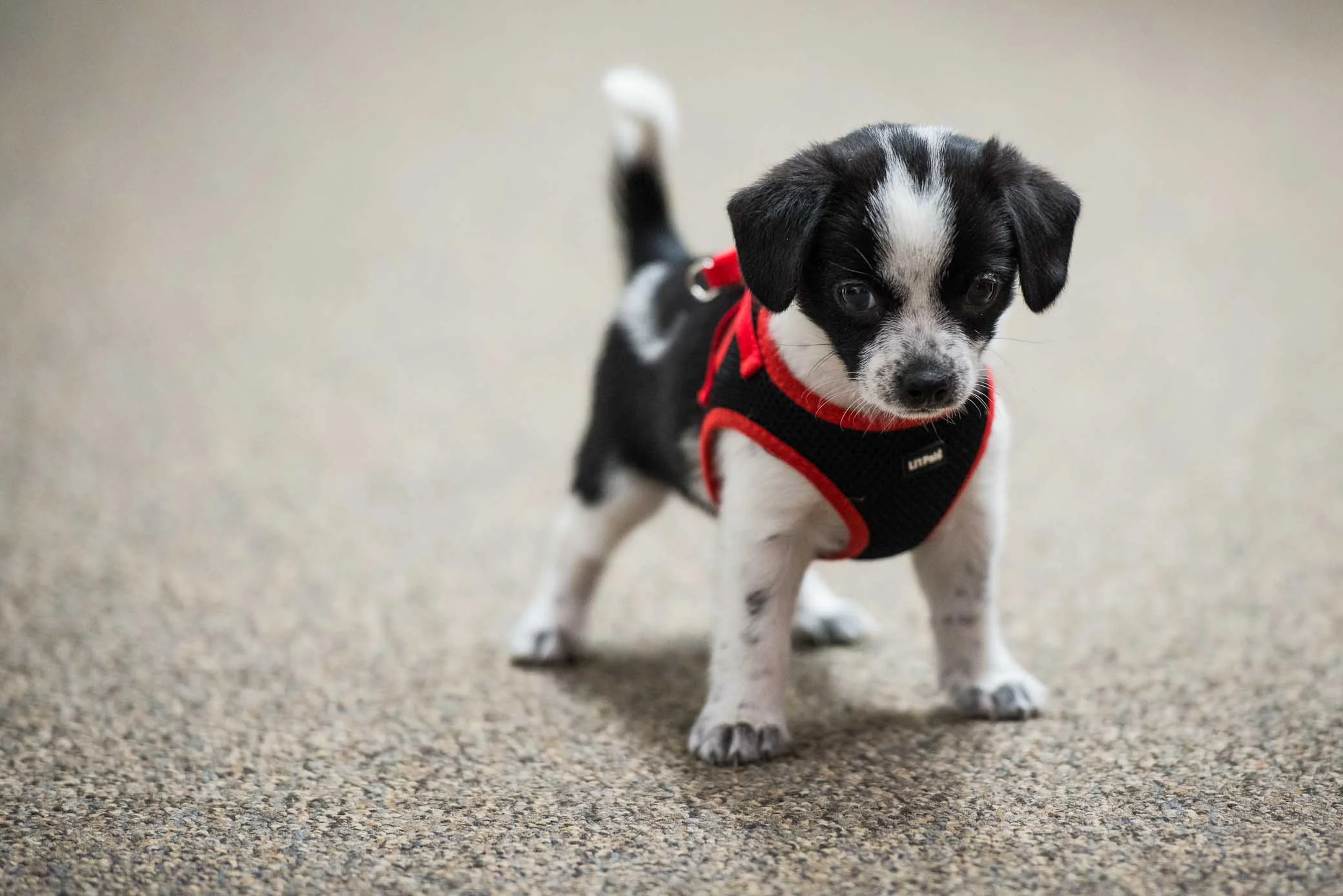 _GWM8557-SMALL.jpg