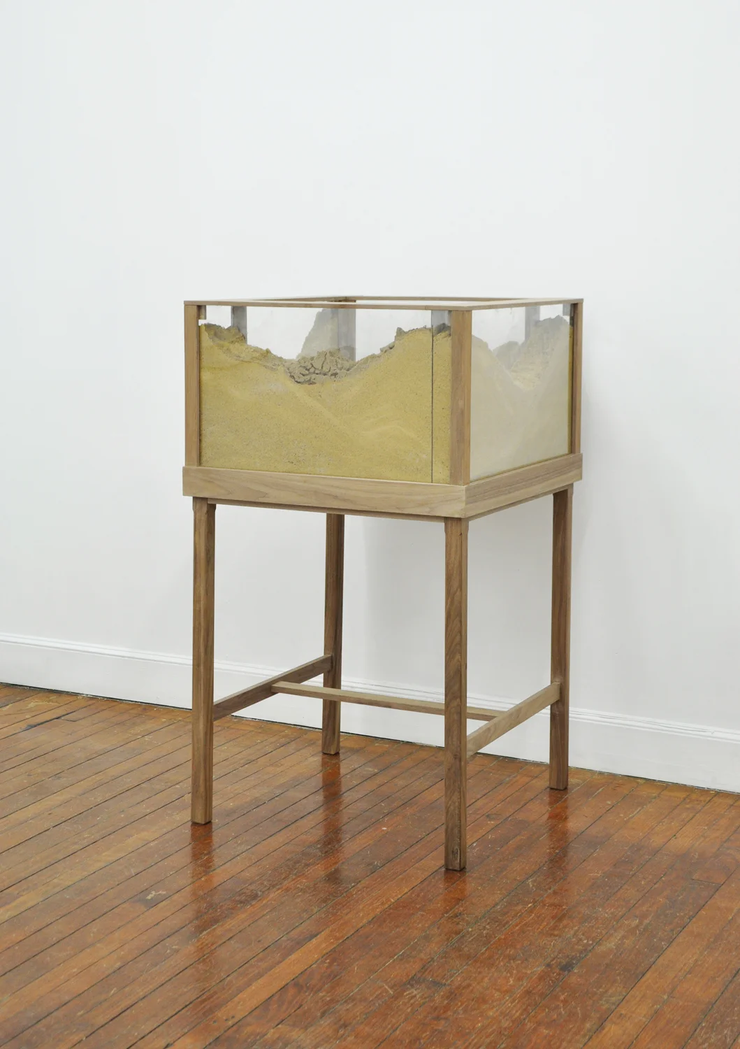   Something New.   Walnut, sand, ants.&nbsp; Made in collaboration&nbsp;  with Lindsey Dezman. 2015&nbsp;  