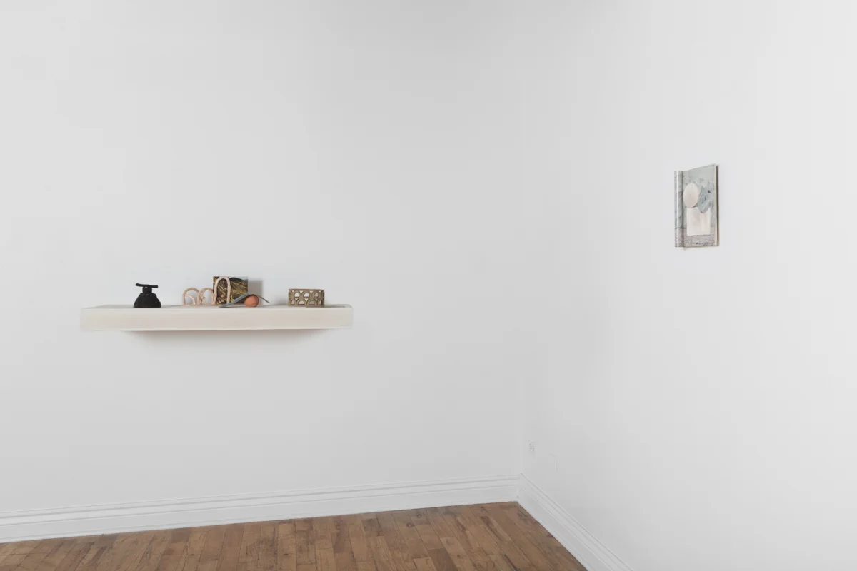   MASS -&nbsp; installation view  Two person show with Rodrigo Lara Zendejas @ Fernwey Gallery, Chicago, IL. 2016 