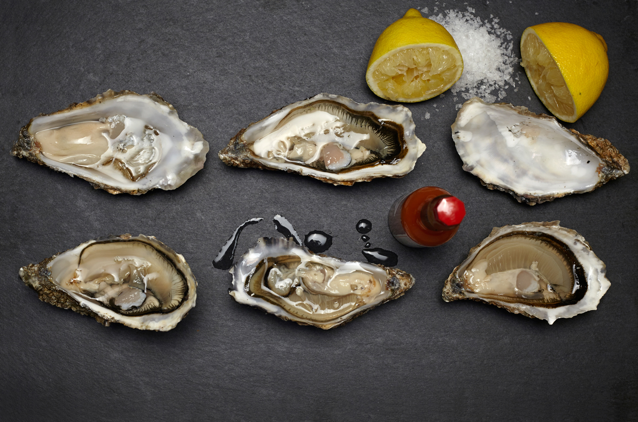 14-10-04 Soleshare9627.jpg