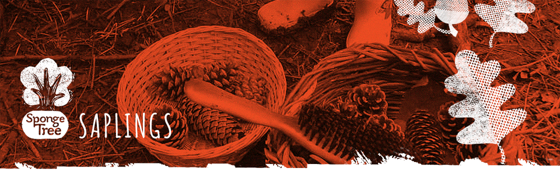 Sapplings_banner.gif