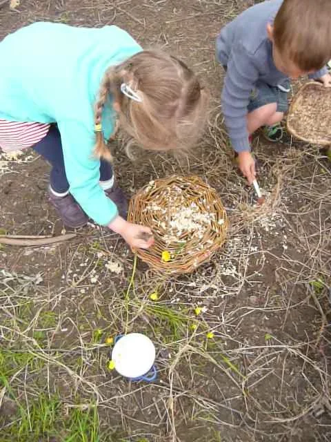 Sponge Tree Saplings outdoor nature play group