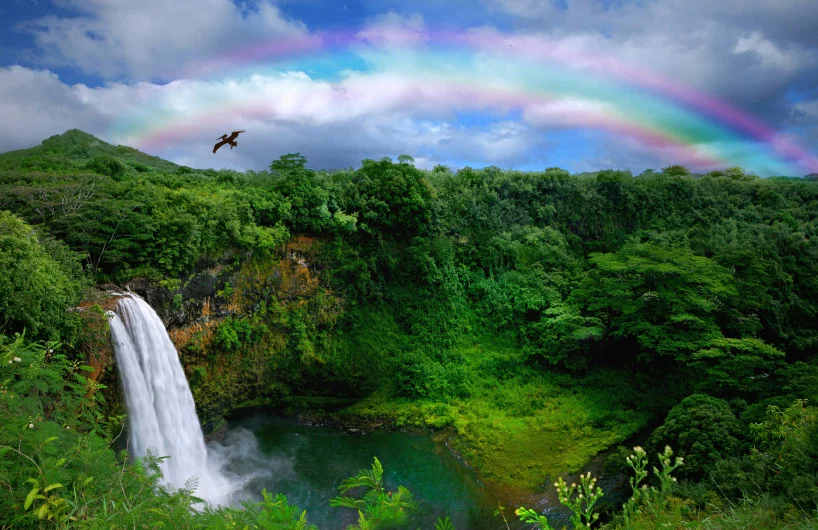 kauai.jpg