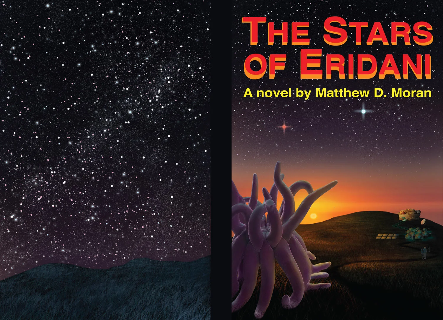 The back and front. Now available in paperback!
