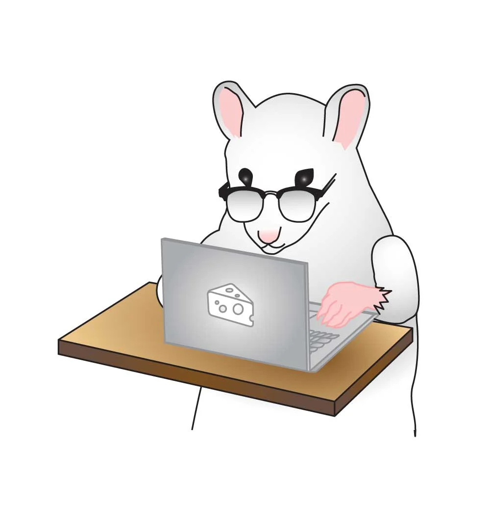  Concepts Practice Online Program ©MSE 