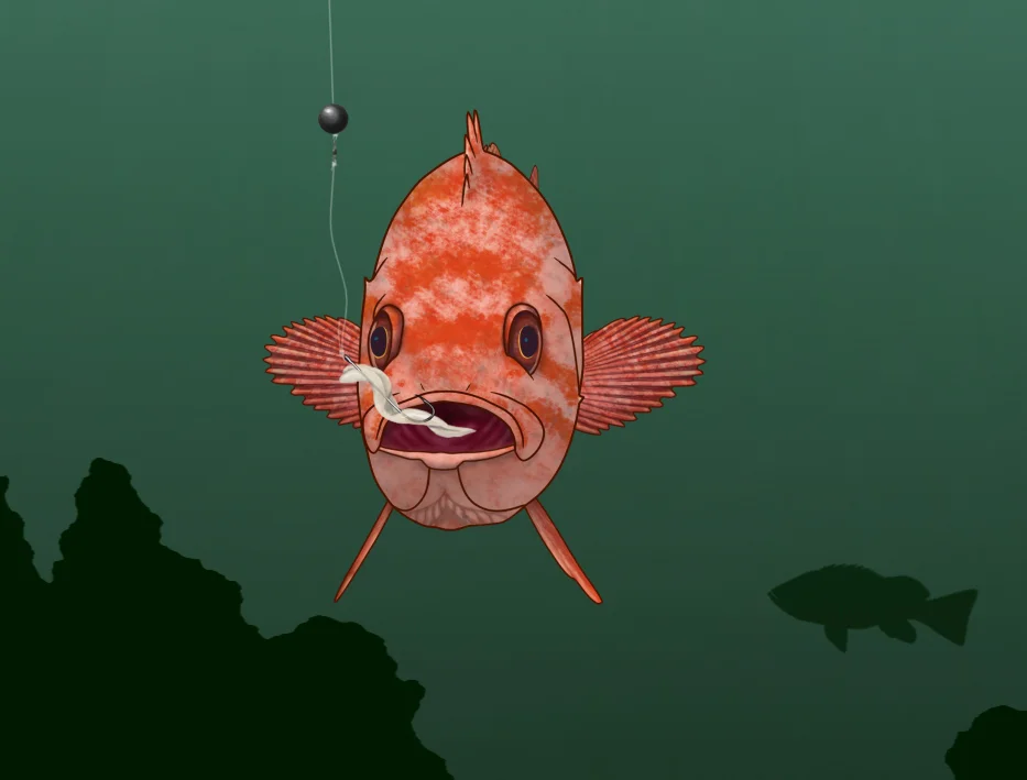  For NOAA 