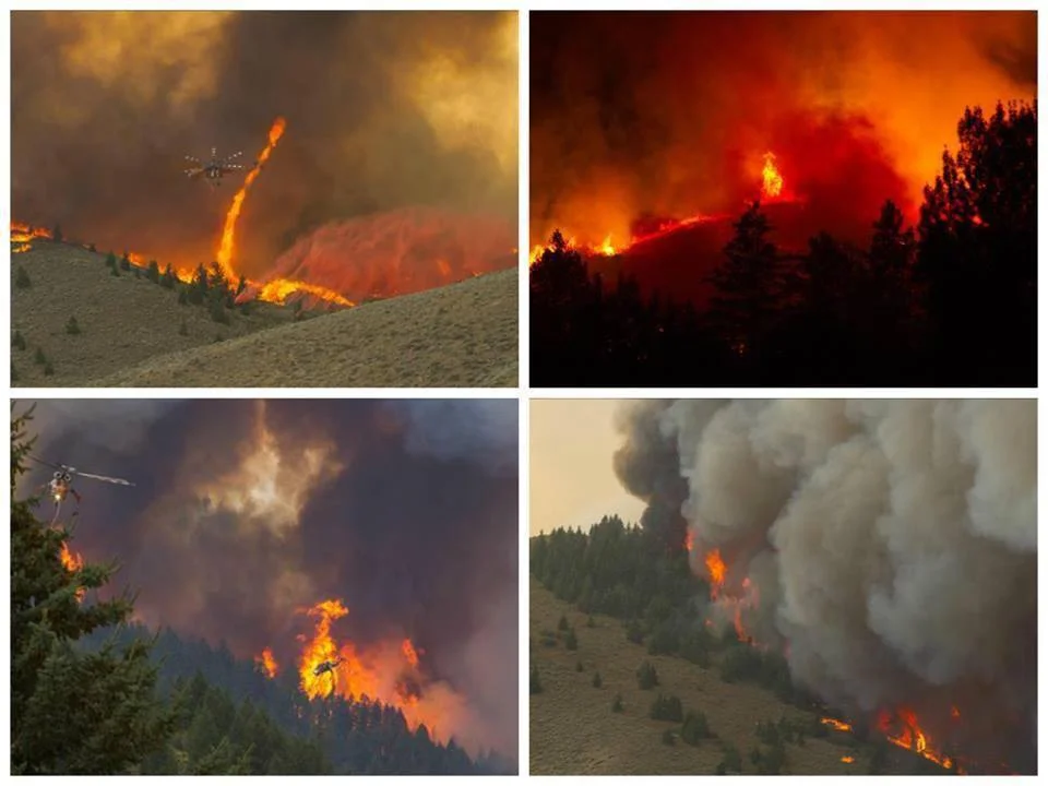 idaho.jpg