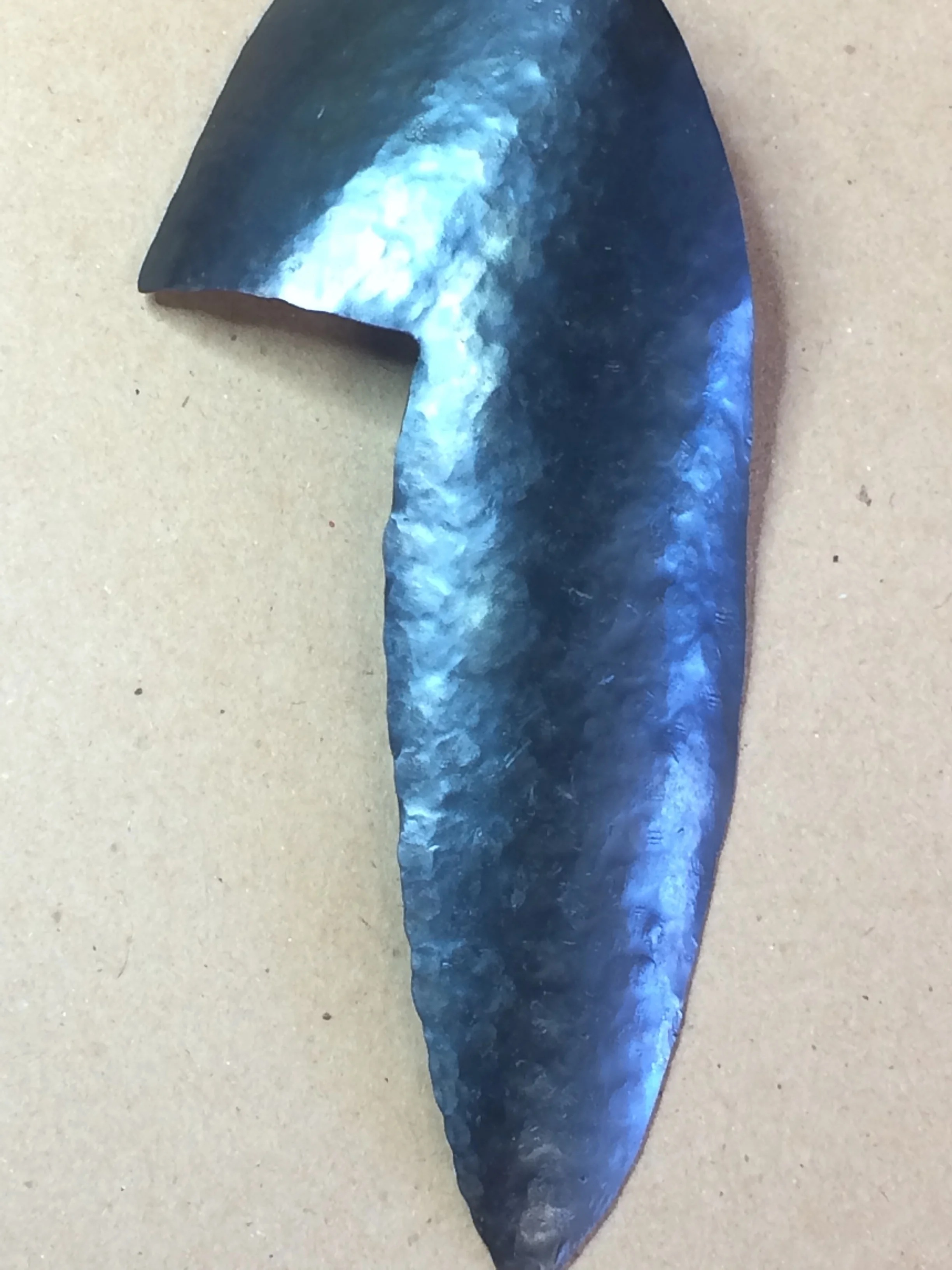 Just a close-up of a flipper.