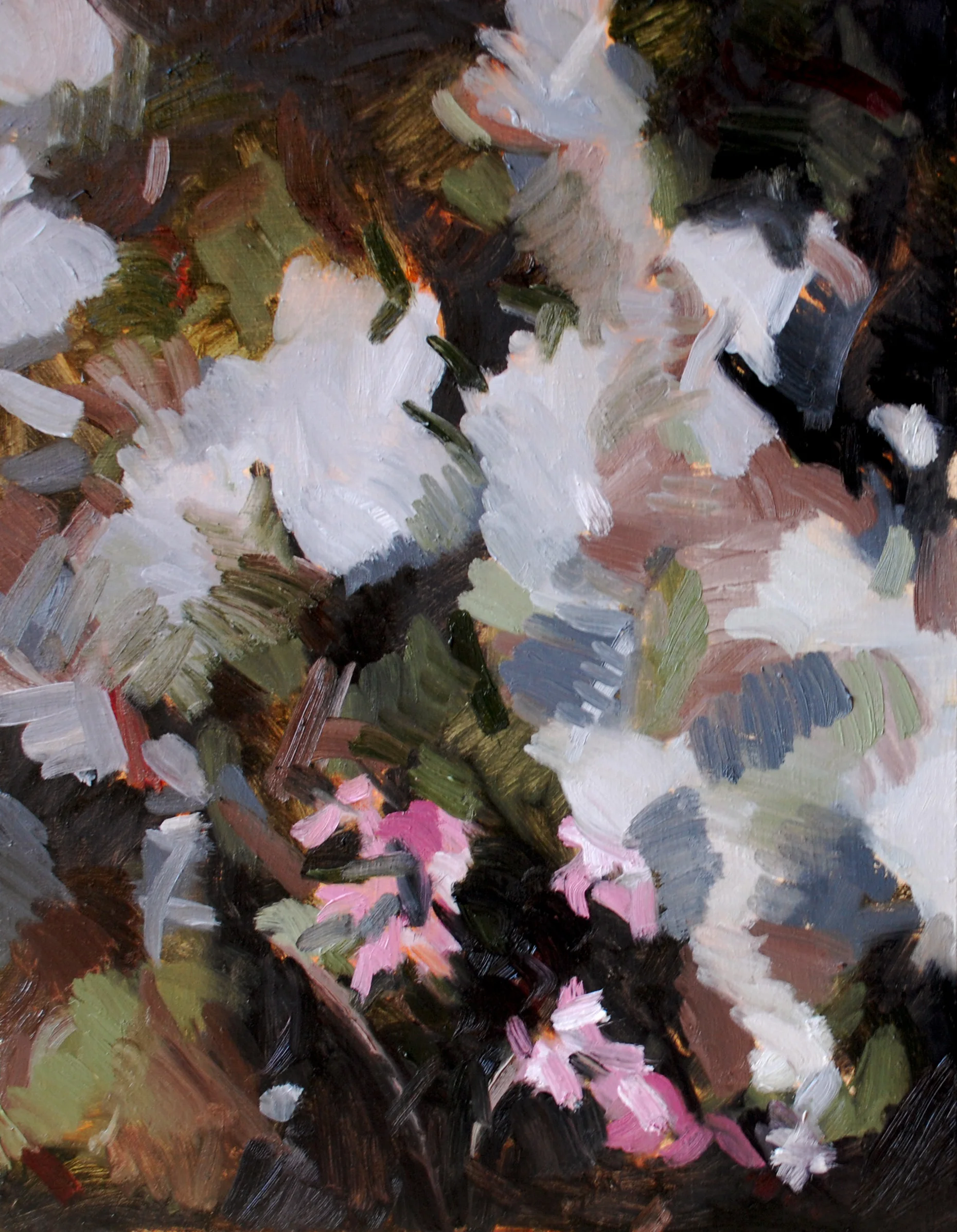 Julie Devine_Canopy II_2012_23x18.jpg