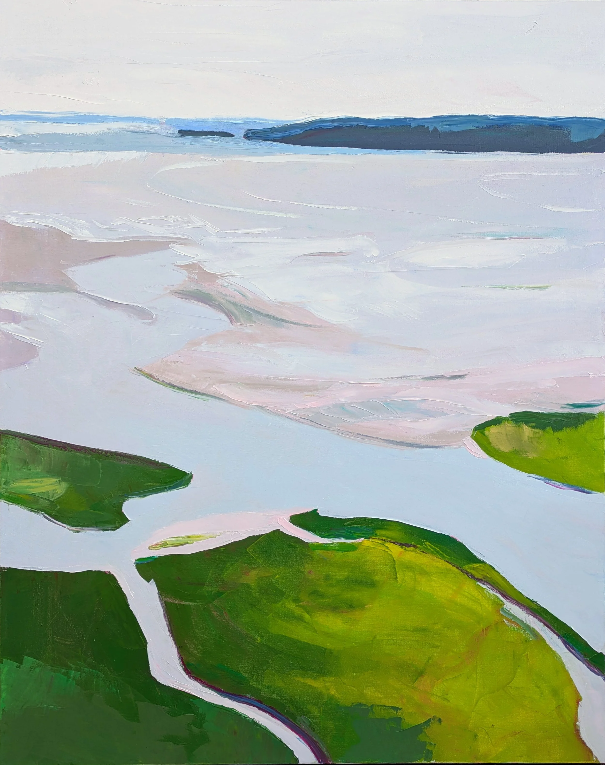 The Skagit River: Works by Julie Devine