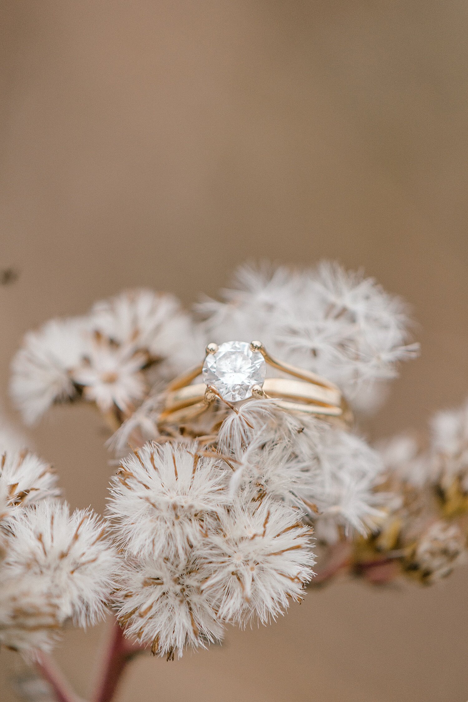 sierradyerco-nic-olivia-engagement-90_WEB.jpg