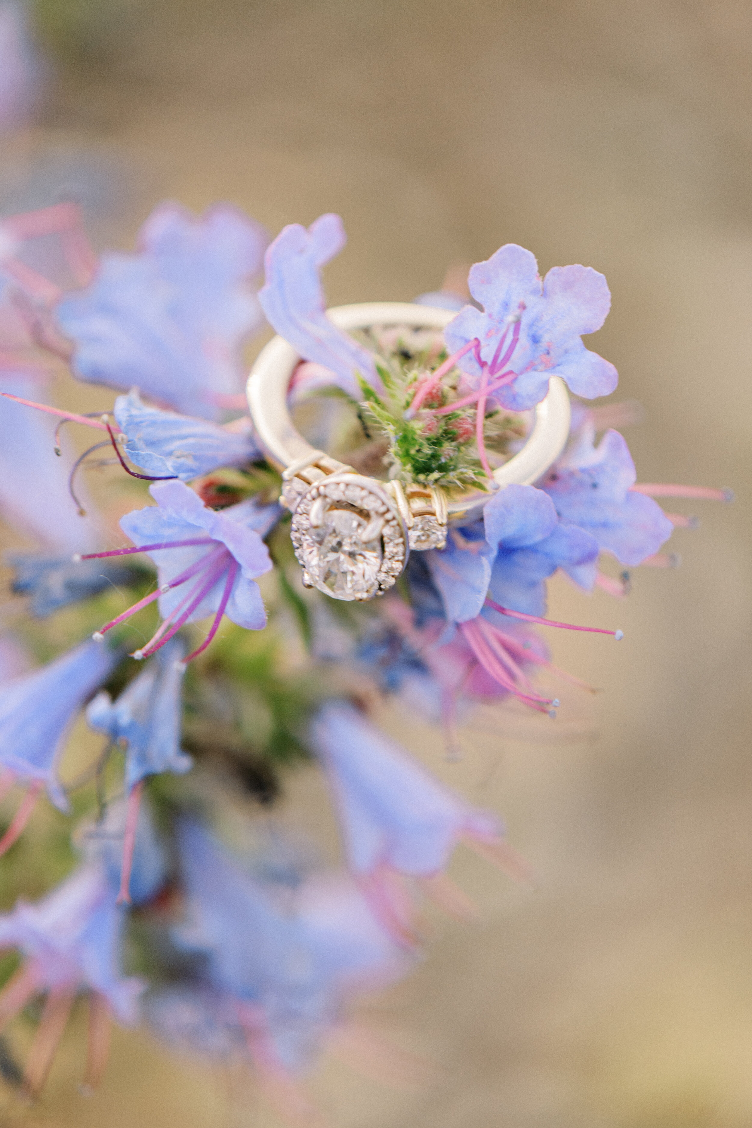 sierradyerco-emilyethan-engagement-116.jpg