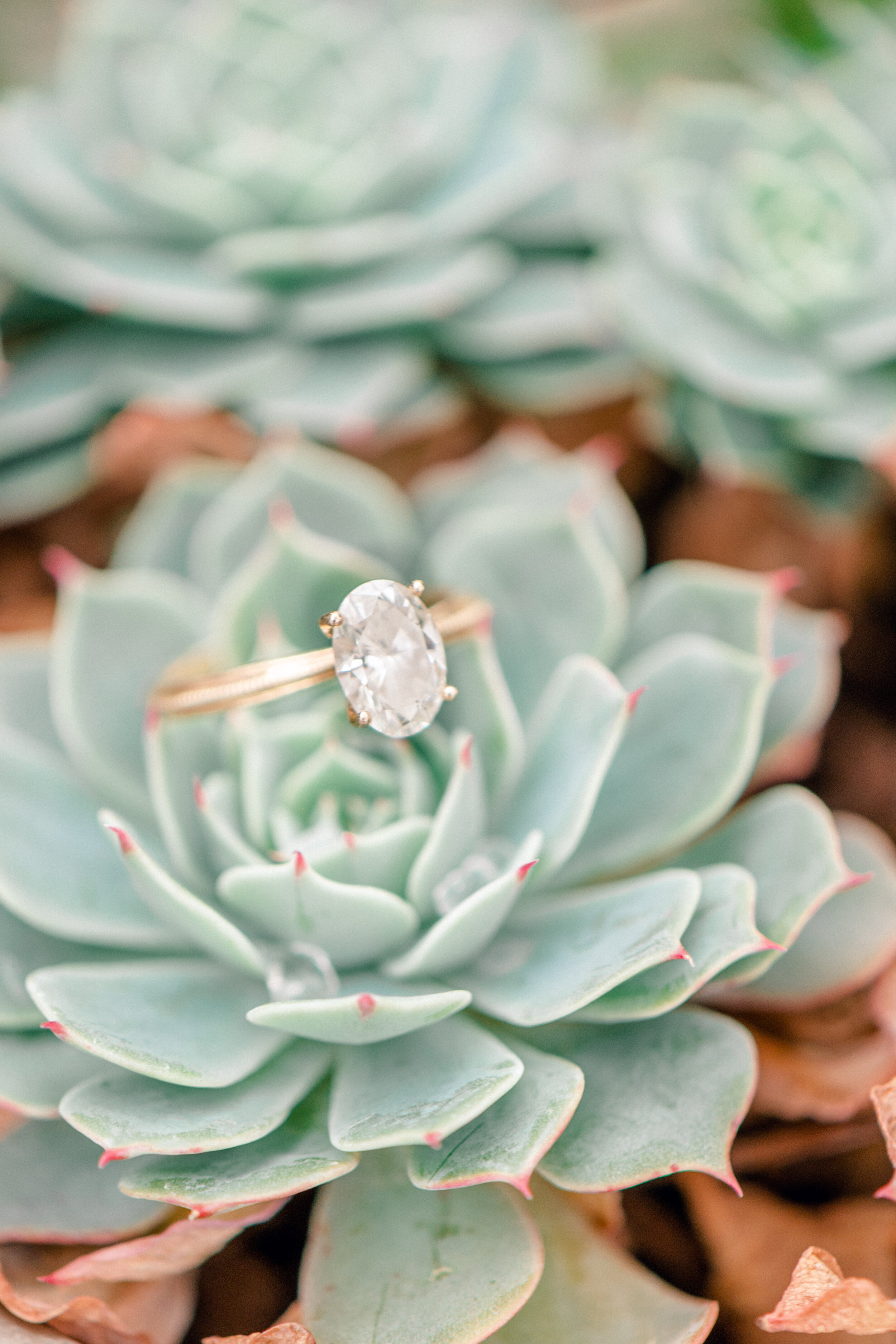 sierradyerco-kaylaorlando-engagement-124.jpg
