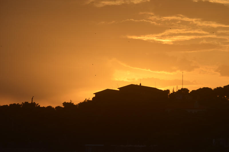 DSC_0753.JPG