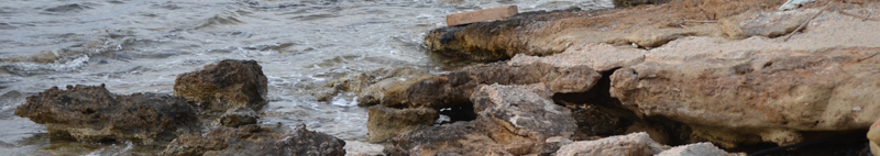 DSC_4090.JPG