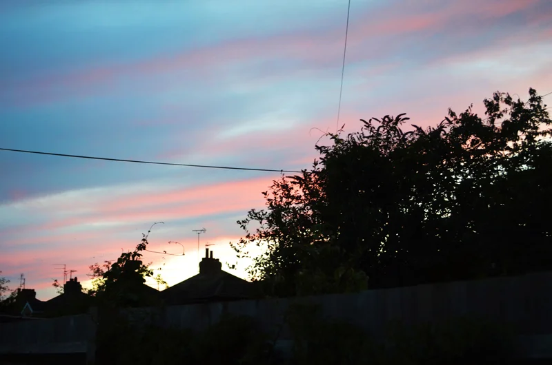DSC_1506.JPG