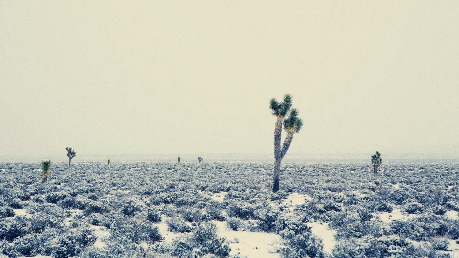 places1_23.jpg