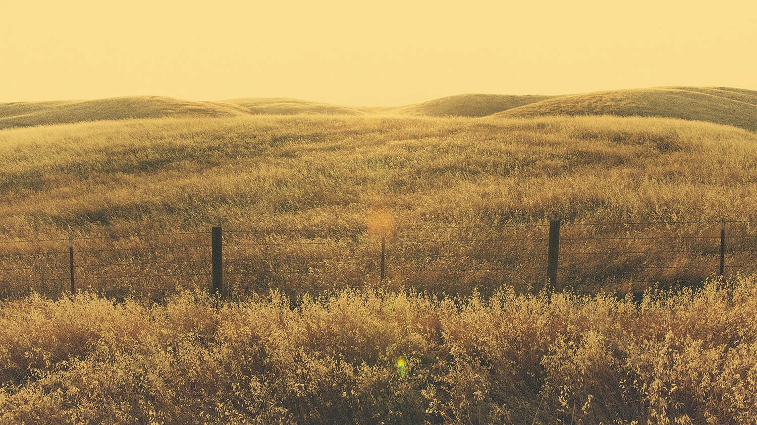 places1_34.jpg