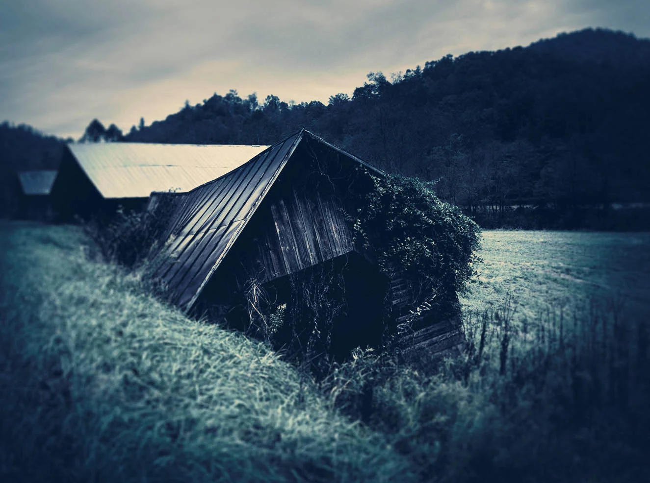 places1_41.jpg