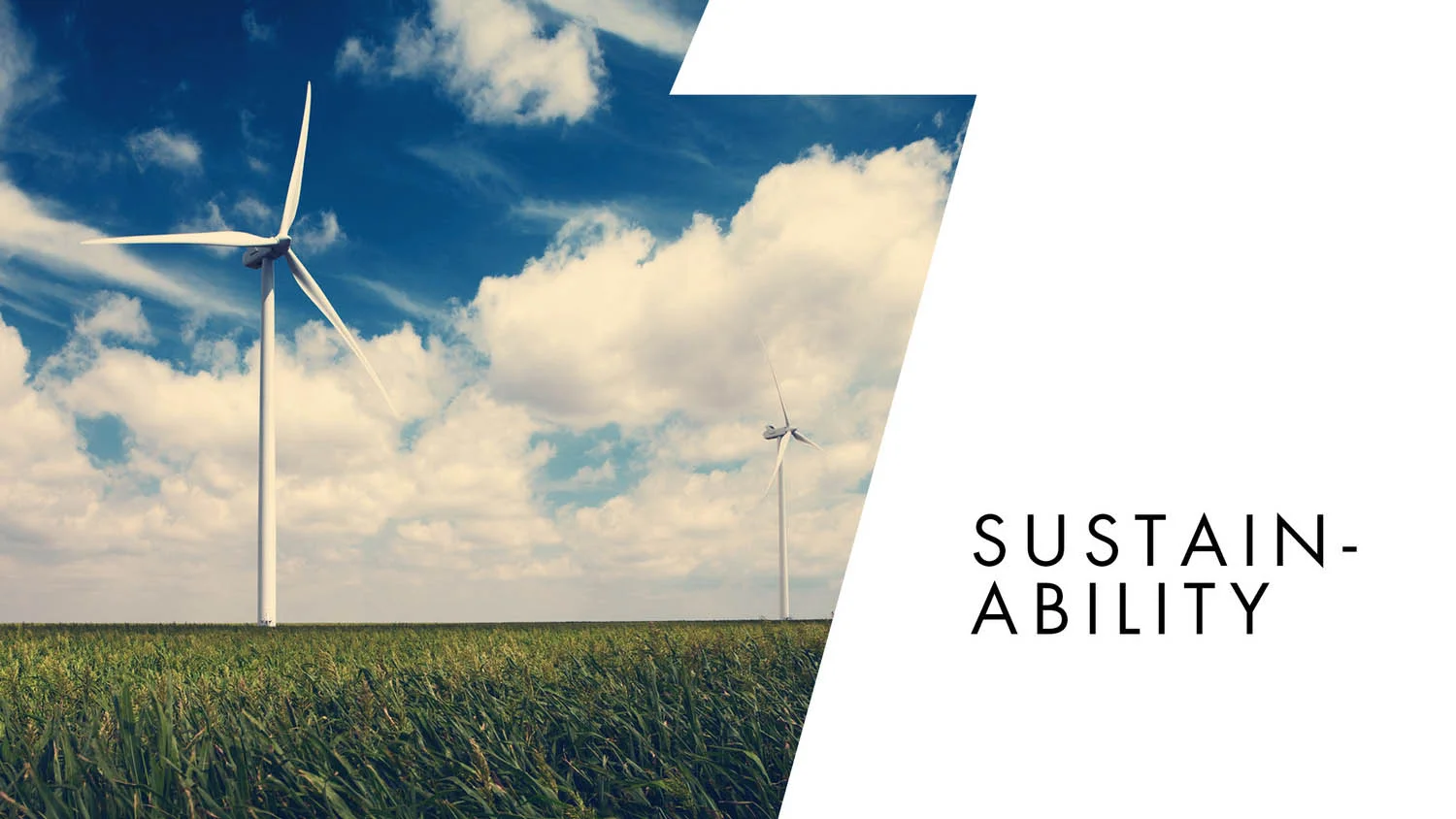 Sustainability.jpg