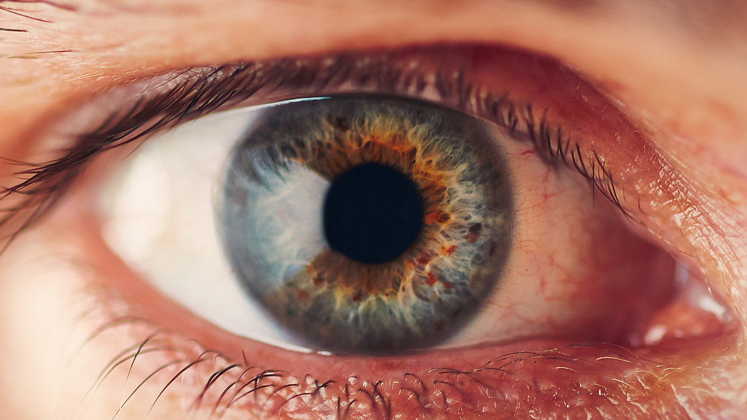 The Eyeball Test