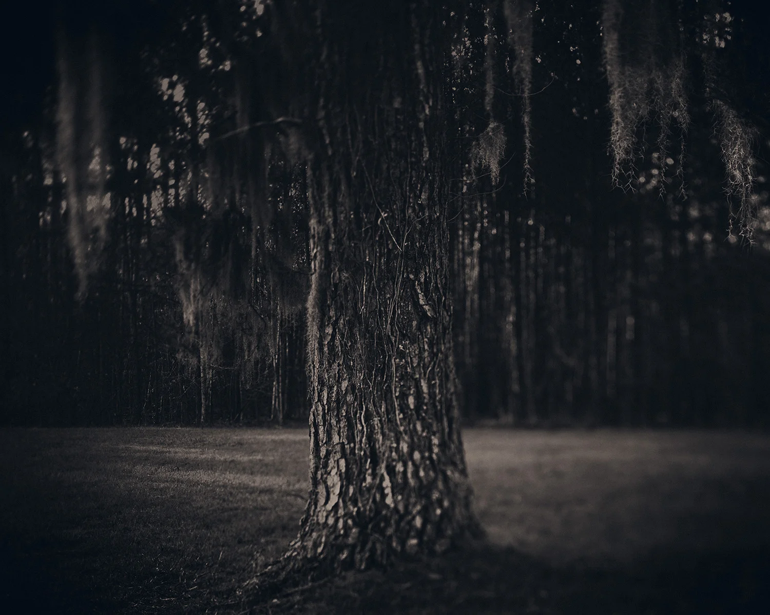 02_18x14.5.jpg