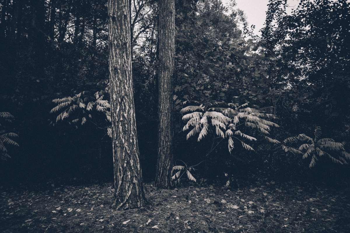 Another one from High Park. Love the tones in this shot.