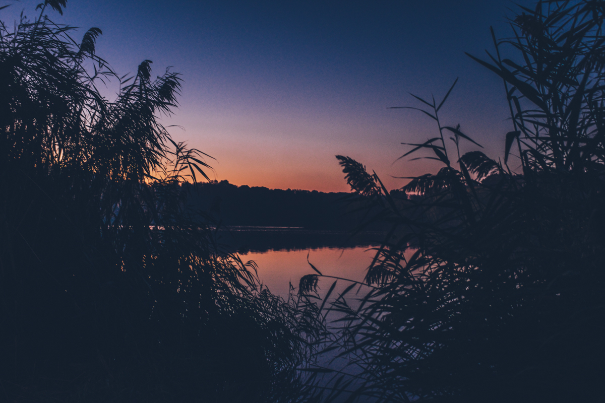 Sunset at Grenadier Pond. I pass by this spot every day. Sunsets are often unbelievable here.