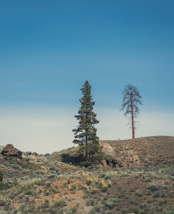 Lillooet - Canon 5DMKIII 70mm - 1/400 @ f8, ISO 100