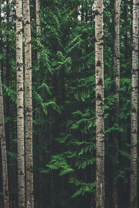 New Hazelton, BC - Canon 5DMKIII 70mm - 1/250 @f4, ISO 250