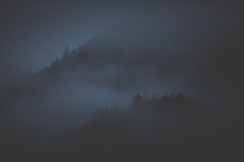 Between Terrace and Prince Rupert, BC - Canon 5KMKIII 185mm - 1/8000 @ f2.8, ISO 800